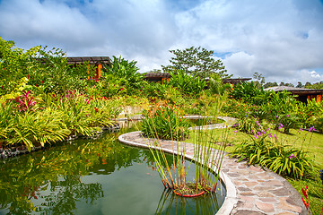 Image showing Garden with various tropical plants and flower