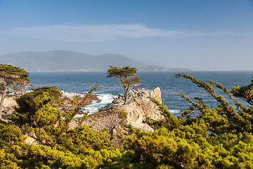 Image showing Island Coastline, Santa Cruz Island, California