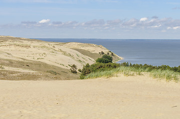 Image showing Dead dunes in Curonian Spit, Lithuania, Europe