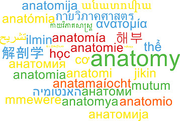 Image showing Anatomy multilanguage wordcloud background concept