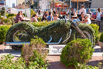 Image showing LAS VEGAS -  MAY 14  Harley Davidson cafe on may 14, 2008 in Las Vegas. Over 15 custom motorcycles are on display throughout the Cafe, including bikes from Billy Joel, Elvis and Ann-Margaret.