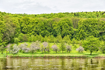 Image showing Banks of Danube