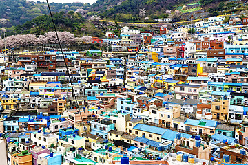 Image showing Gamcheon Culture Village, Busan