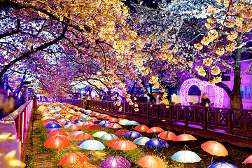 Image showing cherry blossoms at night