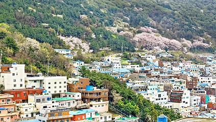 Image showing Gamcheon Culture Village, Busan