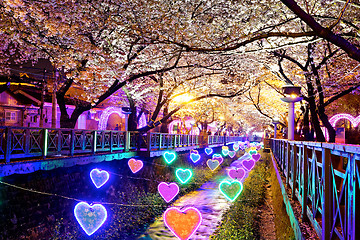 Image showing cherry blossoms at night