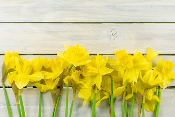 Image showing Daffodils on a wooden background