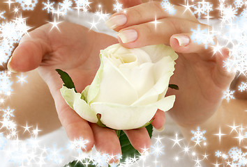 Image showing rosebud with snowflakes