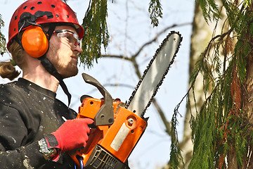 Image showing Woodcutter closeup in action in denmark 