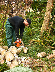 Image showing Woodcutter in action on the ground with chainsaw in denmark 