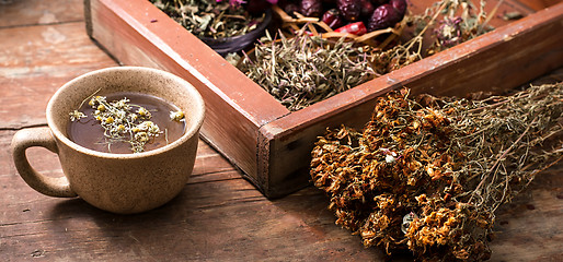 Image showing tea brewed with chamomile in ceramic mugs