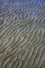 Image showing shore texture and curved line 