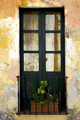 Image showing green old window little terrce and flower 