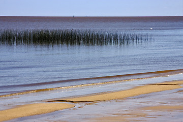 Image showing beach and grass in rio de la plata