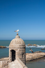 Image showing old fortress in Essaouira, Morocco