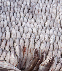 Image showing Fresh fish 