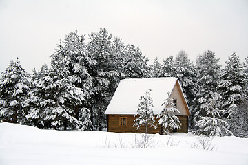 Image showing house in wood