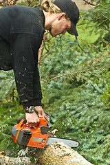 Image showing Woodcutter with chainsaw in action in denmark 