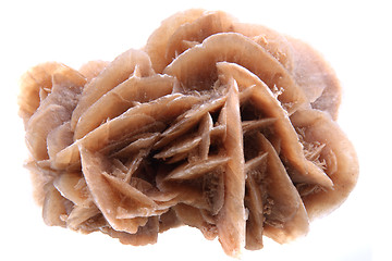 Image showing desert rose mineral isolated