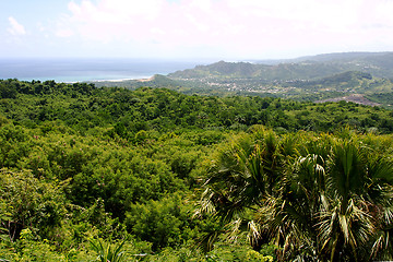 Image showing Tropical Sundown