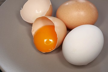 Image showing eggs and yolk