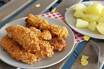 Image showing chicken strips