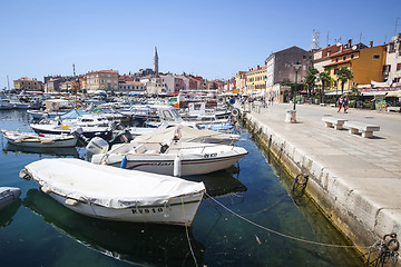 Image showing Marina and promenade in Rovinj