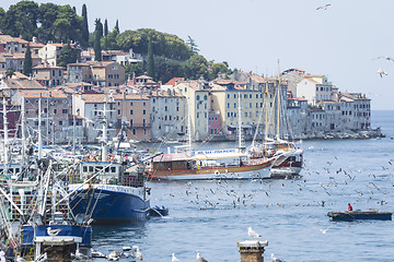 Image showing Old town and harbour in Rovinj