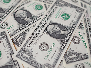 Image showing Dollar notes 1 Dollar