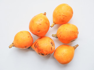 Image showing Loquat fruit