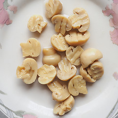 Image showing Champignon mushroom dish