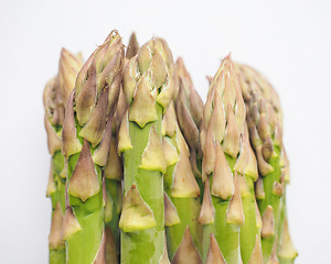 Image showing Asparagus vegetable