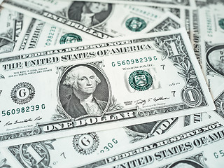 Image showing Dollar notes 1 Dollar