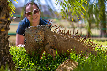 Image showing portrait of tropical iguana