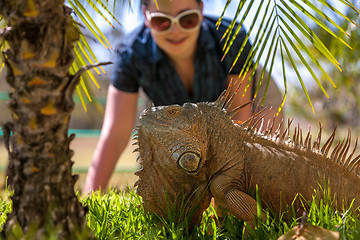 Image showing portrait of tropical iguana