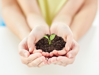 Image showing close up of child and parent hands holding sprout