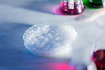 Image showing close up of petri dish with chemical in lab