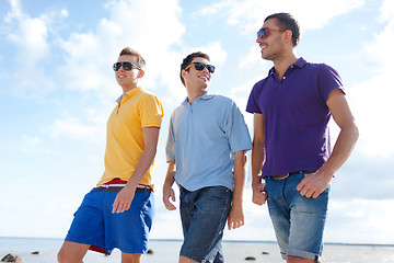 Image showing smiling friends in sunglasses walking along beach