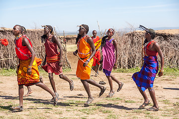 Image showing MASAI MARA,KENYA, AFRICA- FEB 12 Masai warriors dancing traditional jumps as cultural ceremony,review of daily life of local people,near to Masai Mara National Park Reserve, Feb 12, 2010