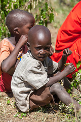 Image showing AMBOSELI, KENYA - Feb 12, 2010 Unidentified Massai children in Kenya, Feb 12, 2010. 