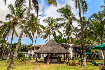 Image showing Empty sunbeds on the green grass among palm trees