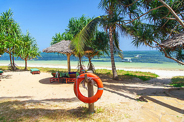 Image showing palm tree on the ocean beach