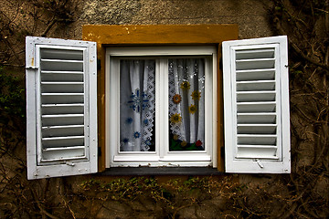 Image showing white wood venetian blind