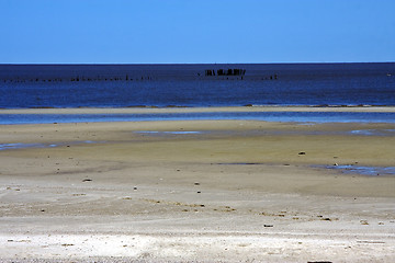 Image showing beach and wood in water