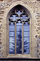 Image showing window and a tree