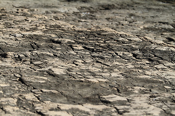 Image showing Dry land