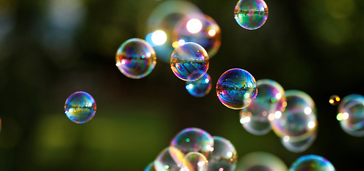 Image showing Soap bubbles