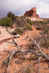 Image showing Rain Clouds Gather Over Rock Formations Utah Juniper Trees