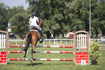 Image showing Horsewoman