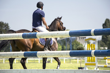 Image showing Show jumping